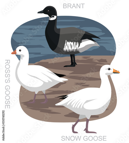 Cute Bird Snow Goose Brant Set Cartoon Vector