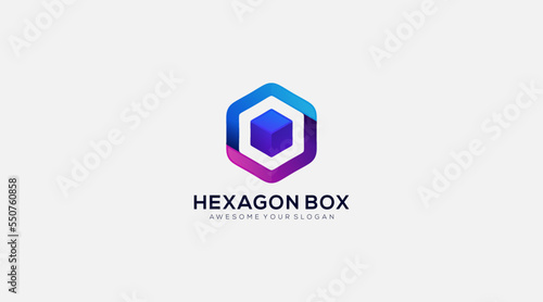Premium Gradient Hexagon Box Logo design vector template