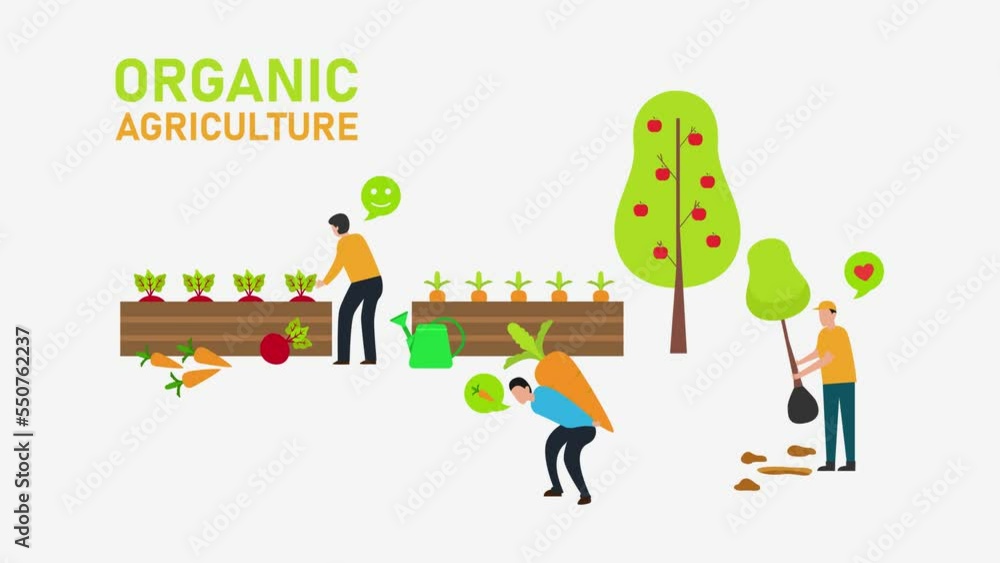 Group of farmers doing organic agriculture Group of farmers doing organic agriculture