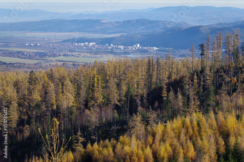 Autumn trees in the Slovak mountains, High Tatras.