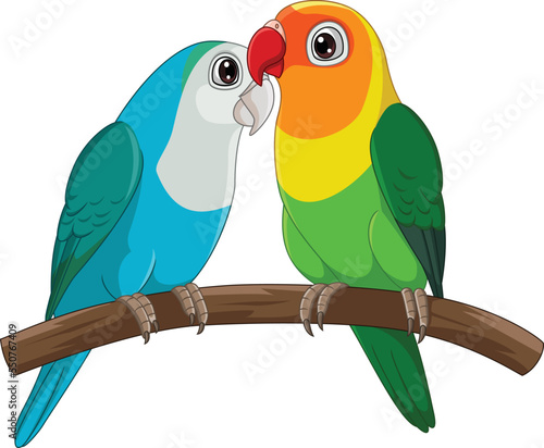 Cartoon Couple Lovebird Parrot on White Background photo