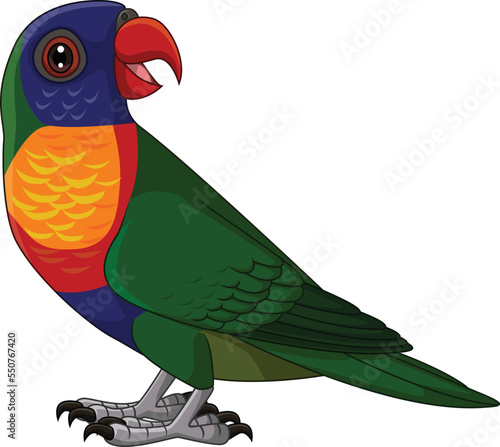 Cartoon Rainbow Lorikeet on White Background
