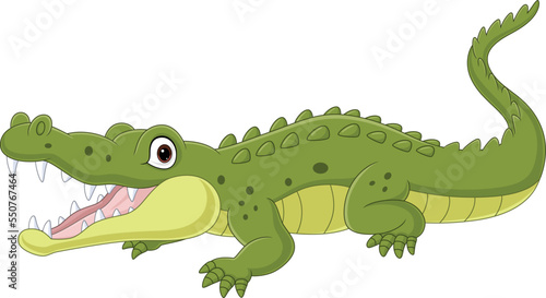 Cartoon crocodile isolated on white background 