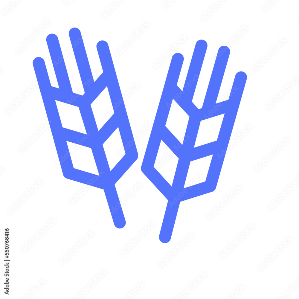 Obraz premium Cereal Crop Wheat