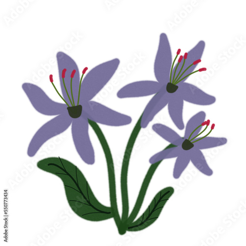 Flower watercolor