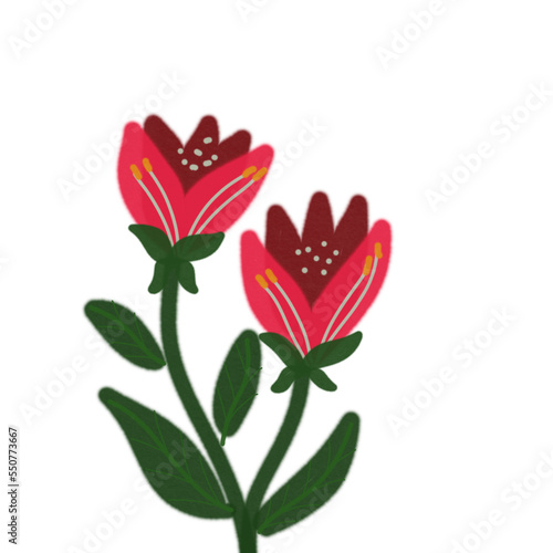 Flower watercolor