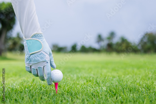  professional golfer hold golf ball put on tee by glove golf at green golf course, side view shot .female asian professional golfer hold golf ball put on tee by glove golf at green golf course, 