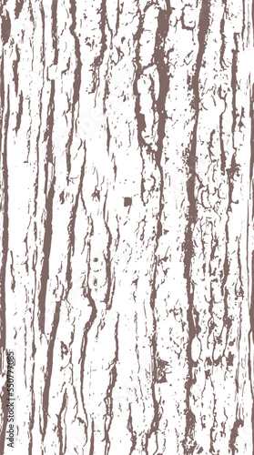 Pine tree bark texture