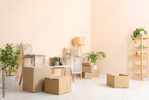 Room with moving boxes, furniture and houseplants © New Africa