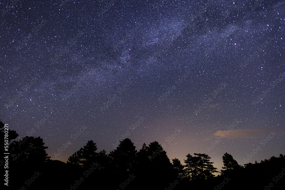 starry night sky with stars