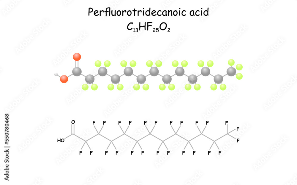 Stylized molecule model/structural formula of perfluorotridecanoic acid.