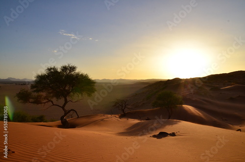 Amazing View from dune in dry pan of Sossusvlei Namib Naukluft National Park