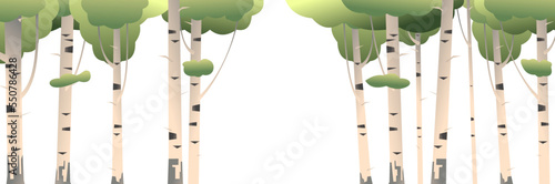 Passage in thickets of birches. Isolated on white background. Summer landscape forest and trees. horizontal composition. Nature view. Cartoon fun style. Flat design. Vector.