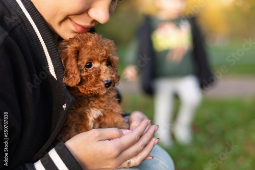 Girl holding a little poodle puppy