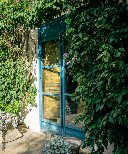Wallpaper Mural Mysterious blue door half hidden behind ivy and some plants during the day evoking feelings of loneliness, magic and nature Torontodigital.ca
