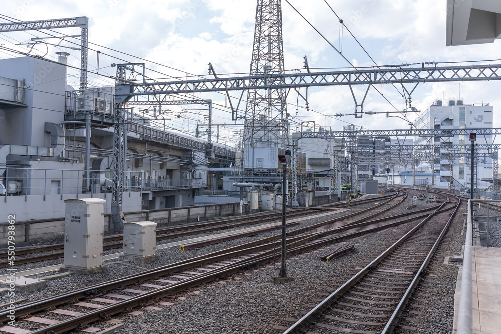 日本の巨大な駅の線路