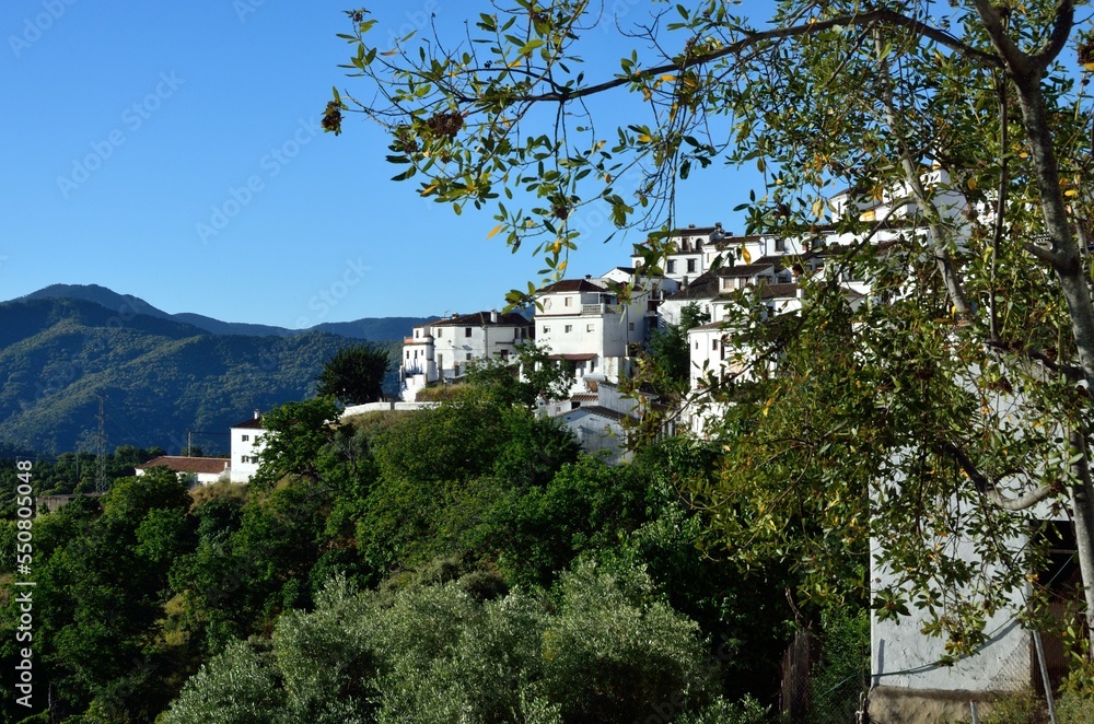 Benalauría, Valle del Genal, Málaga, Andalucía, España