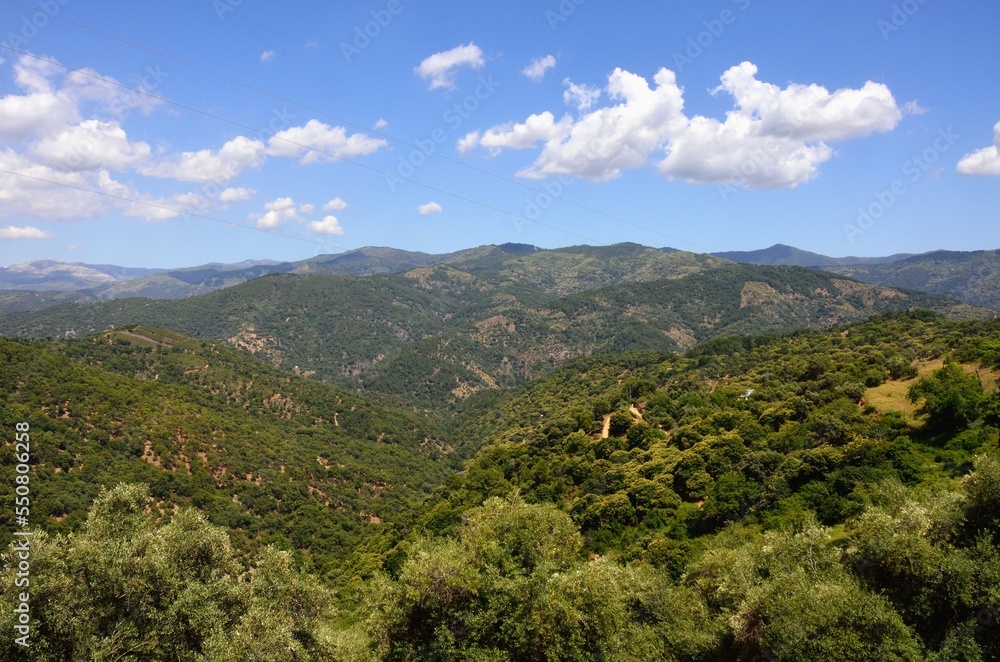 Vista desde Benalauría, Valle del Genal, Málaga, Andalucía, España
