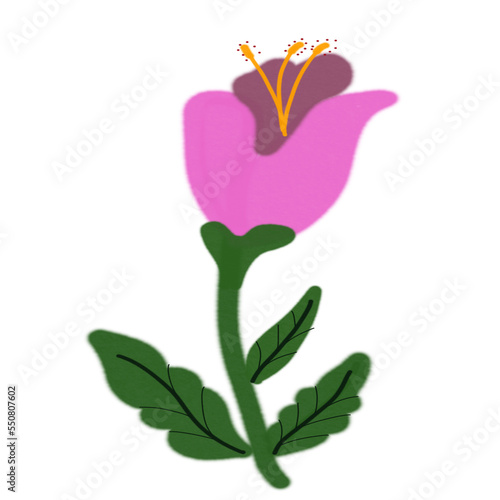 Flower 