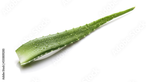 Aloe vera leaf with water drops on white background with shadow. View from above.