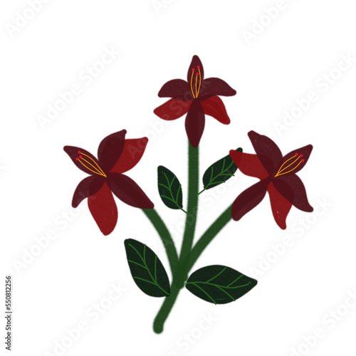 Flower 