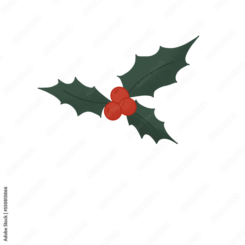 Naklejka premium holly leaves and berries