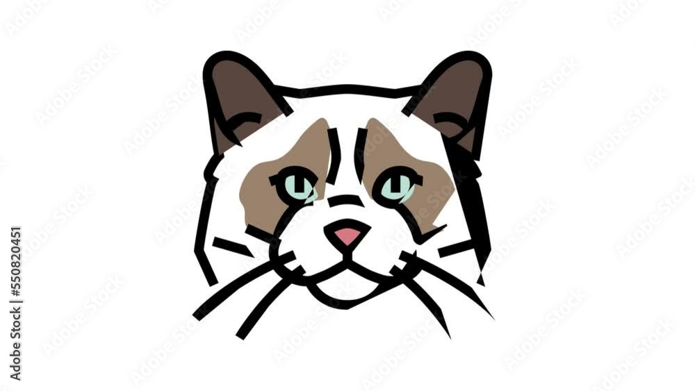 ragdoll cat cute pet color icon animation ragdoll cat cute pet color icon animation