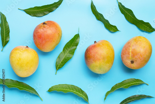 Tropical fruit, Mango  on white background.