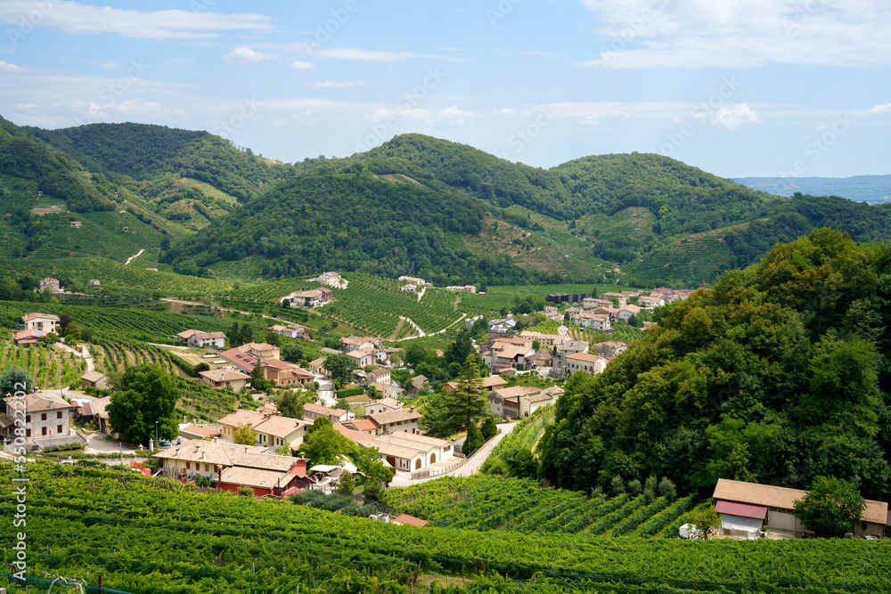 Vineyards along the Road of Prosecco e Conegliano Wines