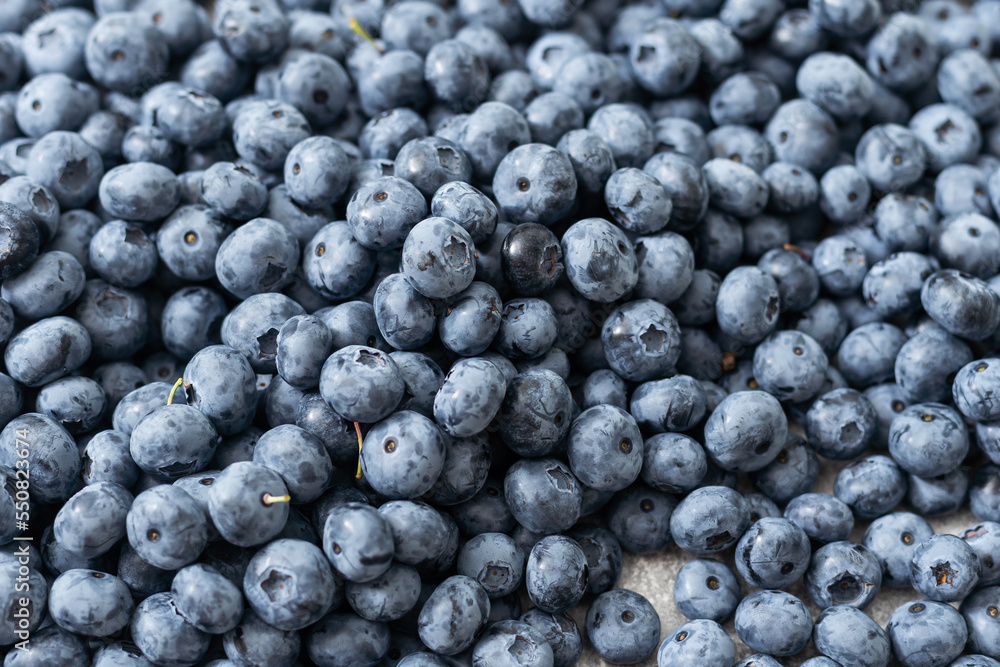 Fresh large blueberry. Close-up background Fresh large blueberry. Close-up background