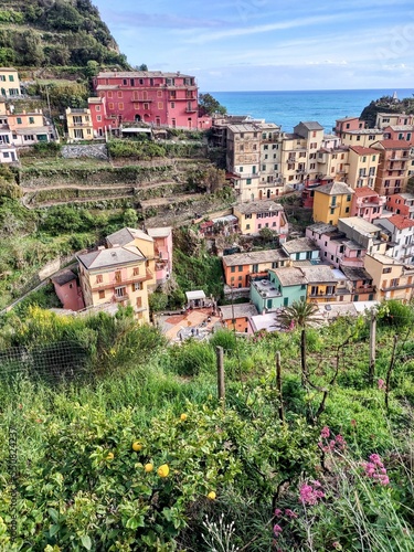 Scenic view in the Cinque Terre