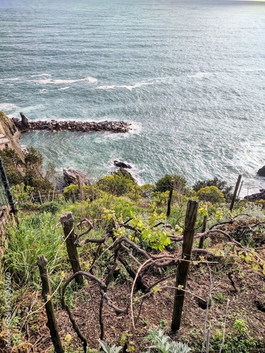 Scenic view in the Cinque Terre