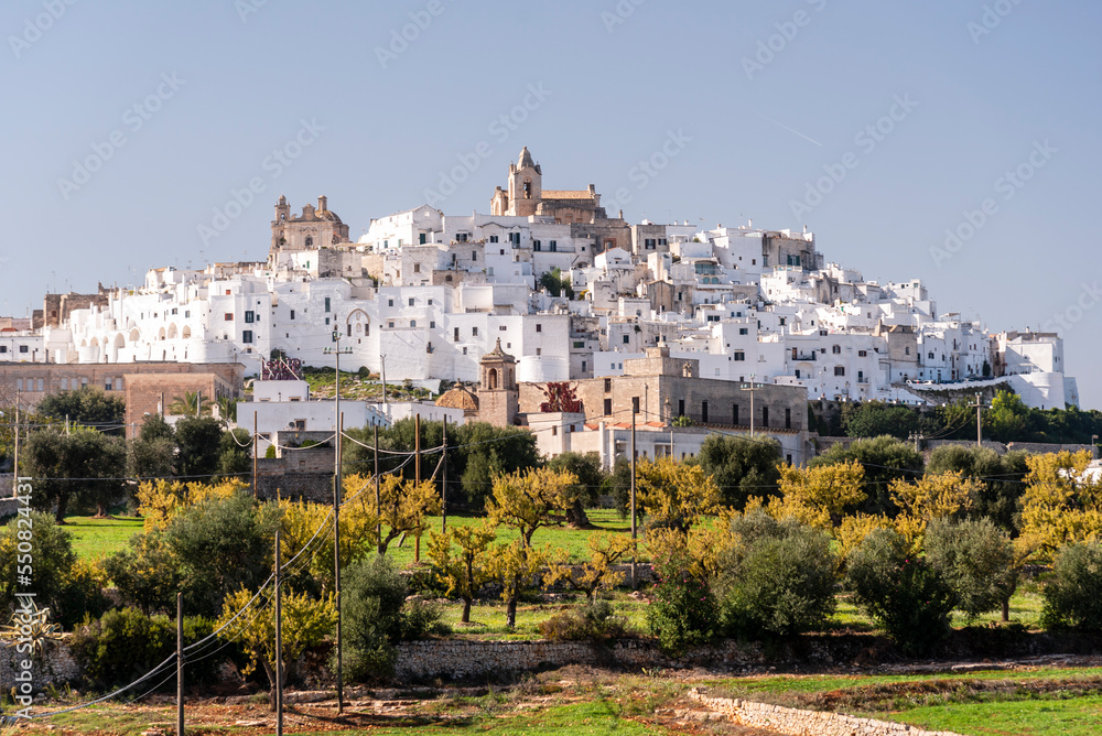 view of the city Ostuni