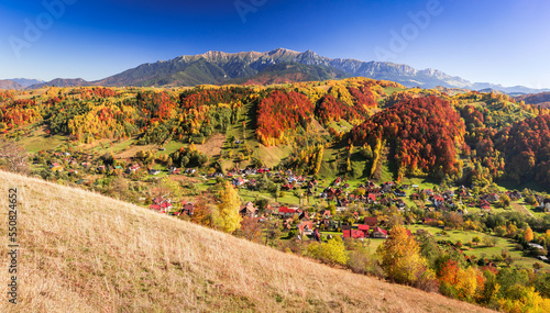 Carpathian Mountains  Romania. Autumn landscape with october colors  Bucegi