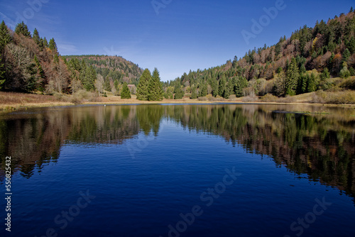 Etang de Haute-Saône