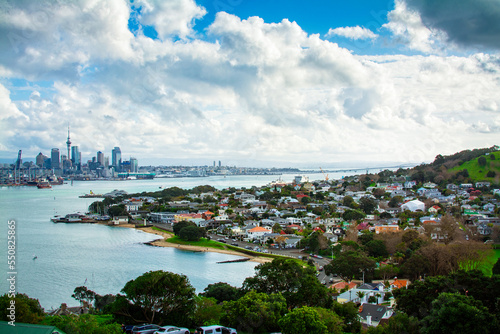 Looking over historical suburb of Devonport on the shore of Auckland Harbour. Distant skyline of Auckland CBD on the horizon. North Island, New Zealand © Irina B