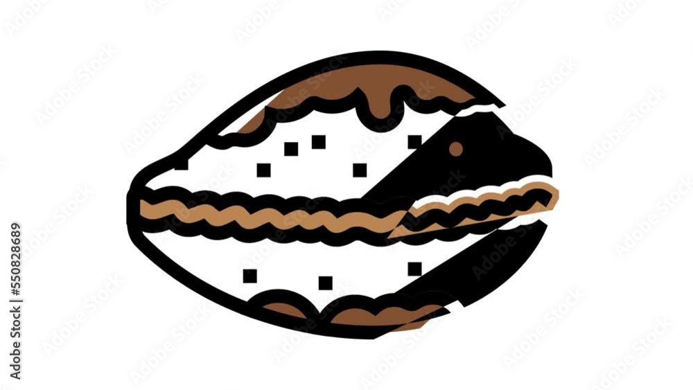 cowrie sea shell beach color icon animation cowrie sea shell beach color icon animation