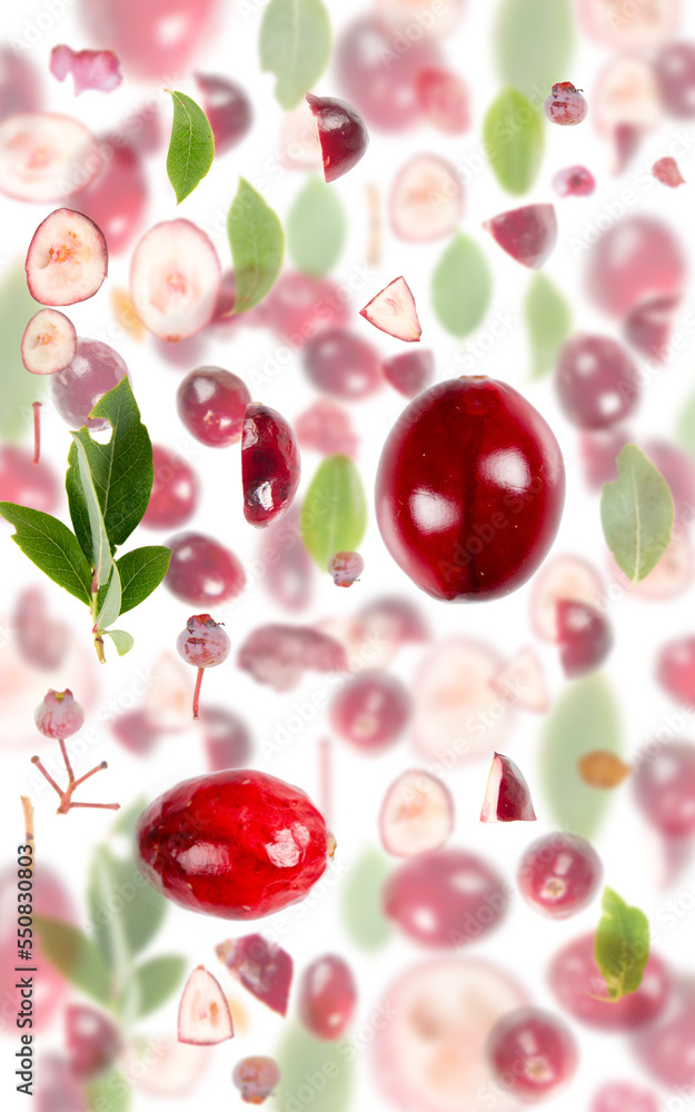Cranberry Slice and Leaf Abstract Cranberry Slice and Leaf Abstract