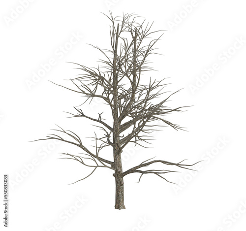 3d render   Tree trunk without leaves  PNG transparent for graphic resources