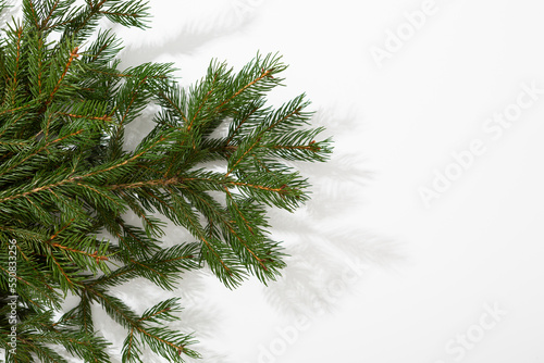 White Christmas background with green branches