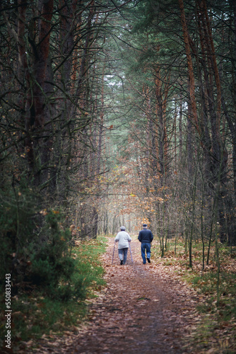 Dw  jek emeryt  w spaceruj  ca w jesiennym lesie pod Warszaw  