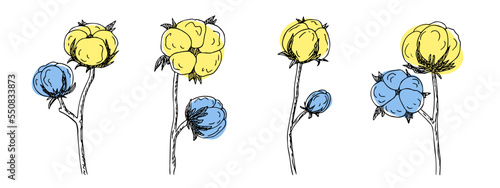 Cotton blue-yellow flower, Bavovna floral branch,fiber of plant origin. Hand-drawn sketch style. Symbol of Ukraine's military success and struggle. Isolated. Vector illustration photo