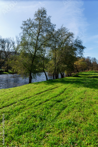 field of trees along a river showing their autumn colours