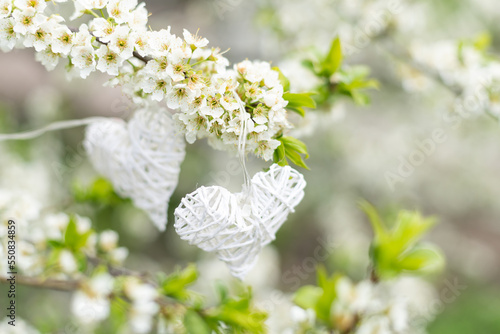 heart on flowering trees. Concept of Valentines day, Spring, Place for text. photo