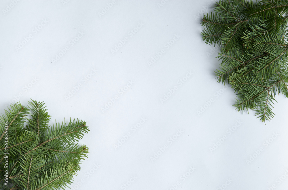 Obraz premium Christmas fletlay from spruce twigs on a white background