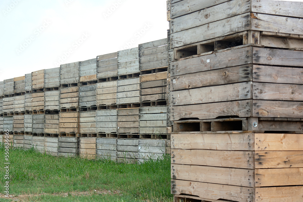 Palets y cajas de madera para guardar apilados en el campo Palets y cajas de madera para guardar apilados en el campo