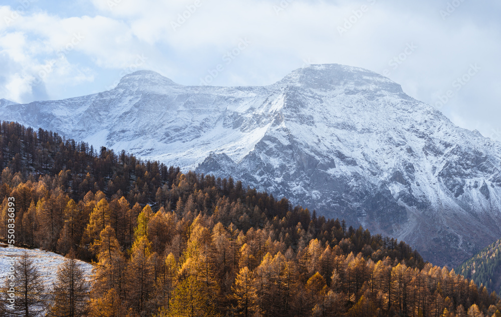 The landscape of Alpe Devero, with the colors of autumn, the first snow and breathtaking views, near the village of Baceno, Italy - November 2022.