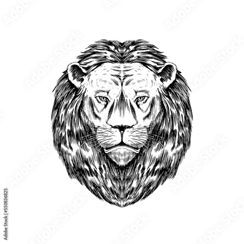 Wild lion with mane. Animal in vintage style. Retro vector illustration. Doodle style. Hand drawn engraved sketch