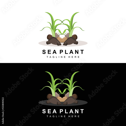 Seaweed Logo, Sea Plants Vector Design, Grocery And Nature Protection photo