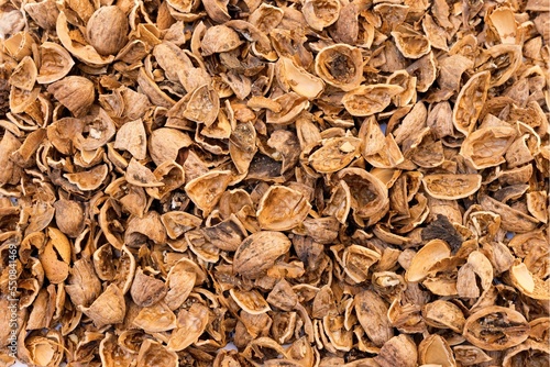 Dried walnut shells as bio and economic ecological fuel